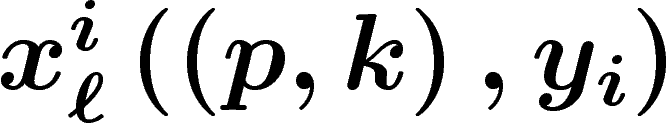 $x^i_\ell\left(\left(p,k\right),y_i\right)$