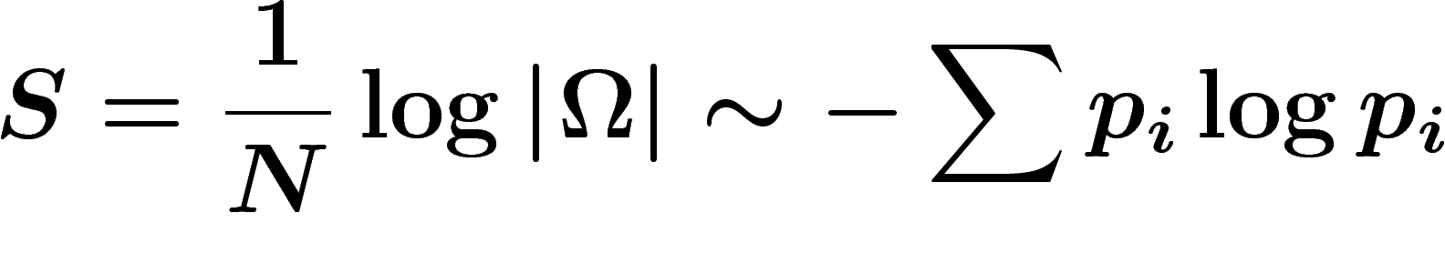 \[S=\frac1N \log\abs{\Omega}\sim -\sum p_i\log p_i
\]