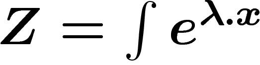 $Z=\int e^{\lambda.x}$