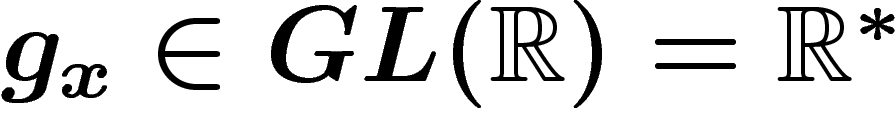 $g_x \in GL(\R)=\R^\ast$