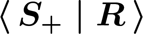 $\presgroup{S_+}{R}$