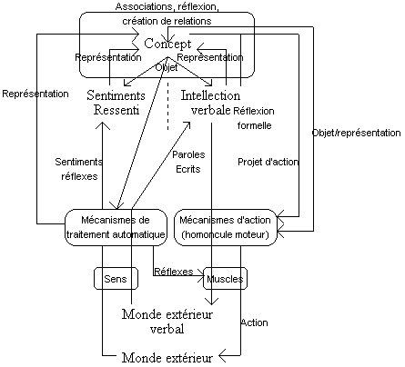 Schéma récapitulatif