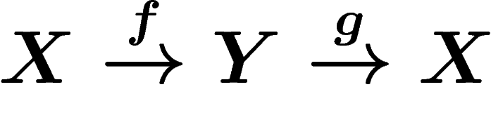 $X\stackrel{f}{\to} Y\stackrel{g}{\to} X$